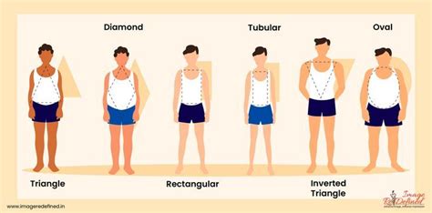 Figure: The Unique Body Shape of Chelsea Manchester