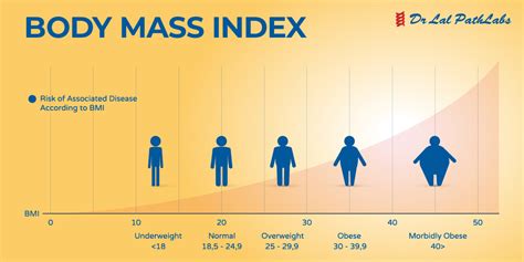 Figure: What is Mslolo's body like?