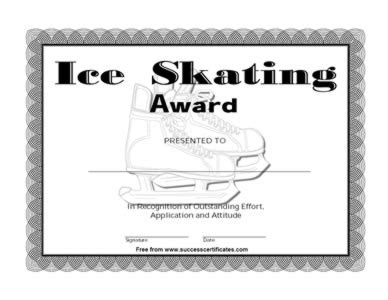 Figure Skating Success and Achievements