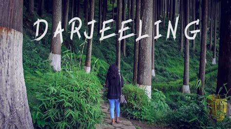 Figure of Inspiration: Amazon Darjeeling's Story