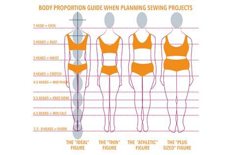 Figure-Focused: Tiny Taya's Body Measurements