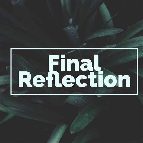 Final Reflection