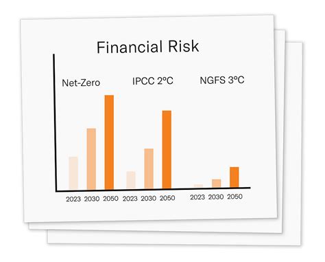 Financial Analysis of Emmi Accel