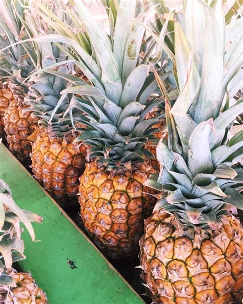 Financial Preparation: Paving the Path towards Your Pineapple Adventure