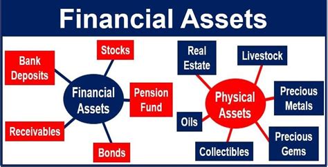 Financial Status and Assets of the Esteemed Personality