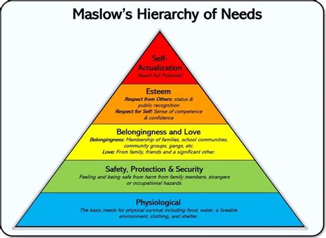 Financial Status and Career Milestones of the Esteemed Personality