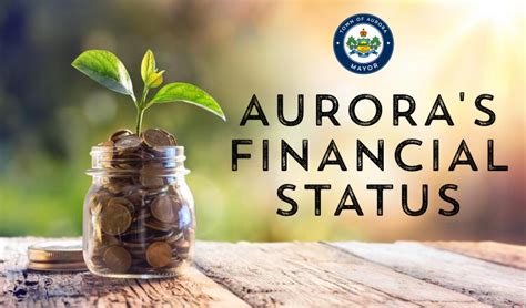 Financial Status and Income of Erika Aurora