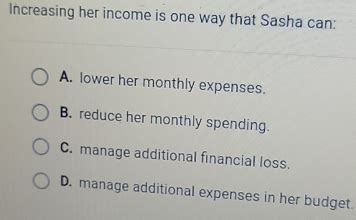 Financial Status and Income of Sasha Sin