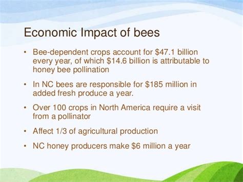 Financial Status of Moon Bee