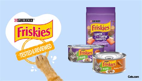 Find Out What the Future Holds for Frisky Cat