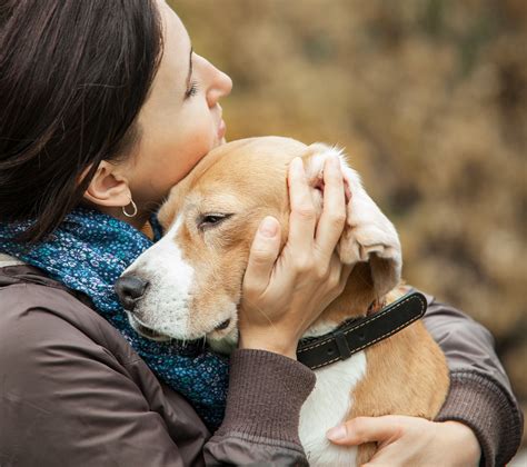 Finding Closure: How Dreams Can Facilitate the Grieving Process for Pet Owners