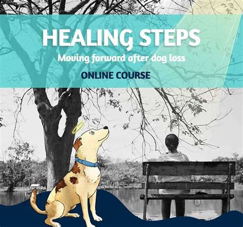 Finding Closure: Steps to Healing and Moving Forward after Experiencing a Dream about the Passing of a Beloved Animal Companion