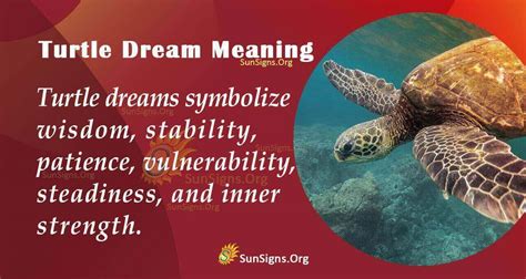 Finding Equilibrium and Serenity through Interpretation of Turtle Dreams