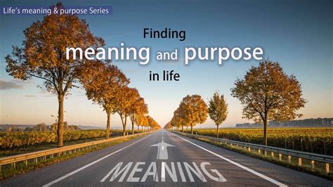 Finding Meaning and Purpose in Existence