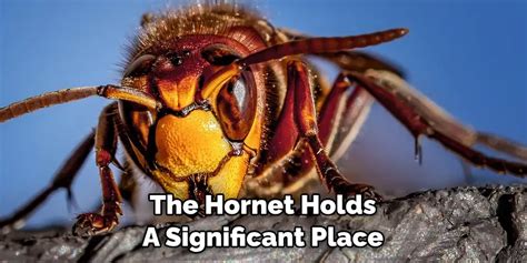 Finding Personal Significance: How the Symbolism of the Enigmatic Ivory Hornet Connects with Individuals