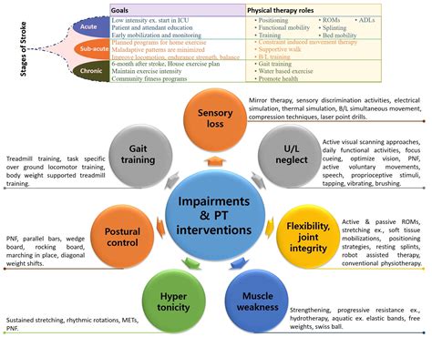 Finding Tranquility and Recovery: Exploring Therapeutic Approaches to Address Distressing Reveries