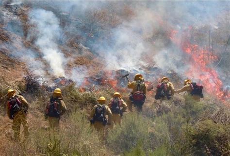 Fire Rescue: An Admirable Vocation to Preserve Lives