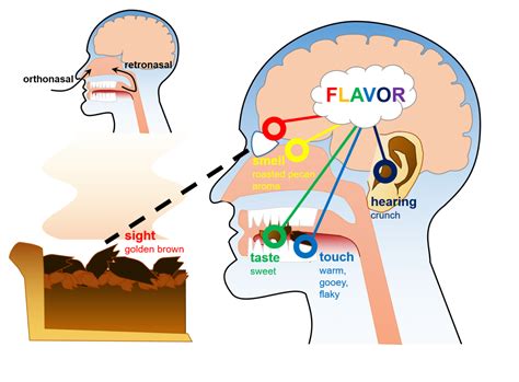 Fire and Desire: Analyzing the Symbolism of an Ablaze Taste-Organ