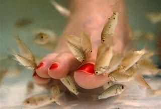 Fish Nibbling the Toes Dreams: Psychological Analysis and Interpretations