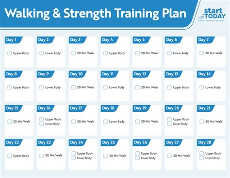 Fitness and Strength Training Regimen