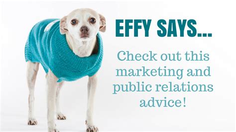 Follow Effy Sweet on Social Media