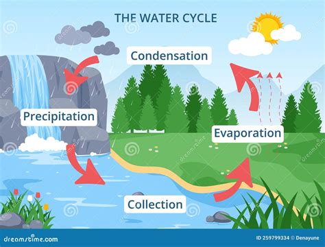 Forecasting the Future: Can the Evaporation of Aquatic Resources in Dreams Predict Future Events?