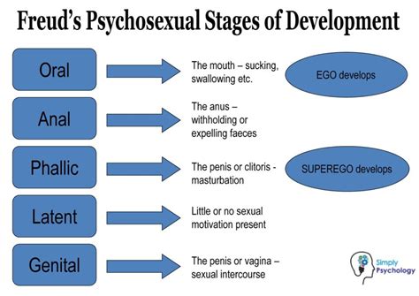 Freudian Analysis: Decoding the Meaning of Blood Flow from the Feminine Body