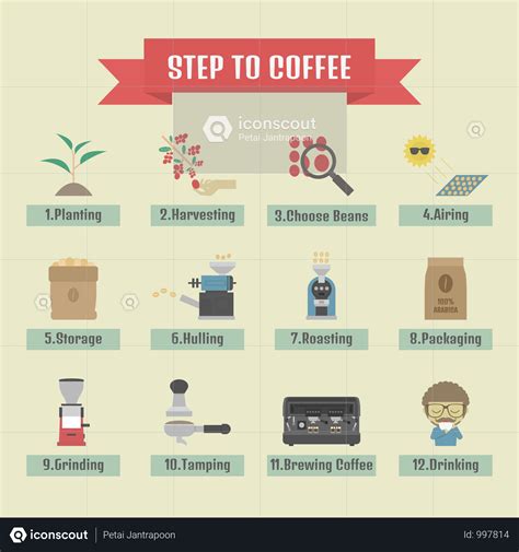 From Bean to Cup: Understanding the Coffee Production Process