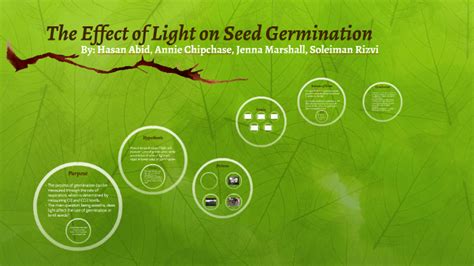 From Darkness to Light: The Impact of Light on Seed Germination