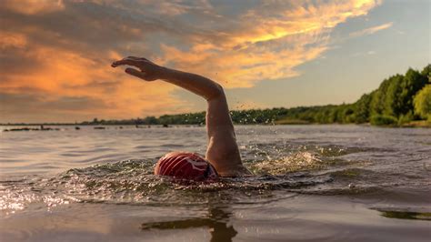 From Fear to Freedom: Overcoming Anxiety Through Dreams of Aquatic Creatures