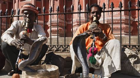 From Fear to Power: Unraveling the Cultural Significance of Snake-Slaying Heroes Throughout History