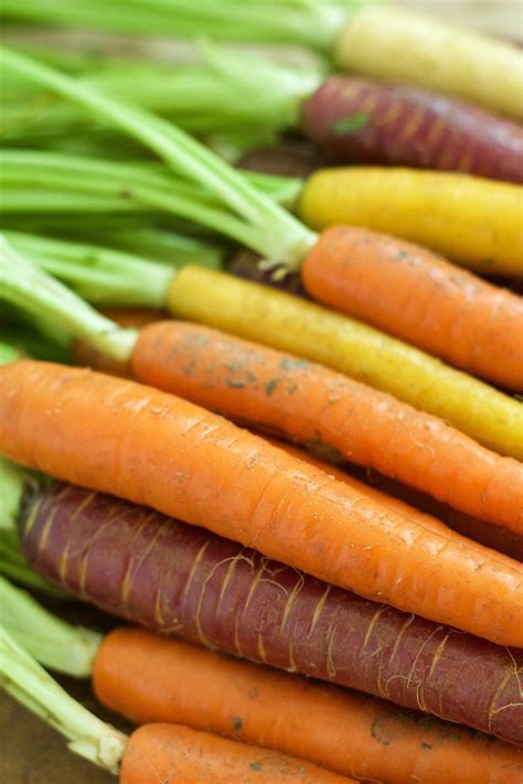 From Folklore to Modern Day: Exploring the Evolving Significance of Pale Carrot-like Vegetable