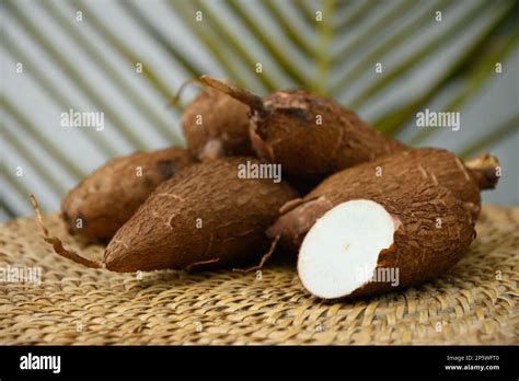 From Food to Fabrics: The Versatility of Cassava Tubers