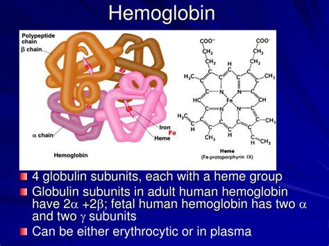 From Forbidden to Fascinating: Society's Reaction to Dreams Involving Animal Hemoglobin