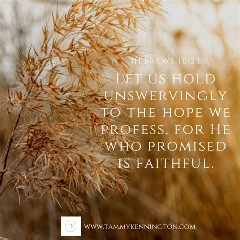From Hopes to Lamentations: A Lesson in Unfulfilled Promises