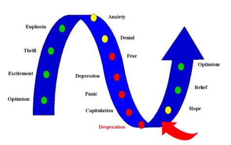 From Infatuation to Intimacy: Navigating the Rollercoaster of Emotions