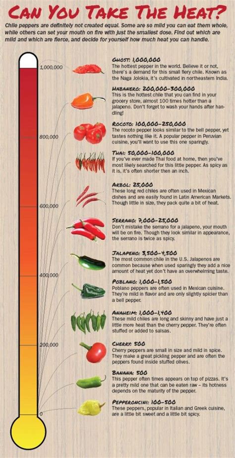 From Mild to Scorching Hot: Understanding the Chili Heat Scale