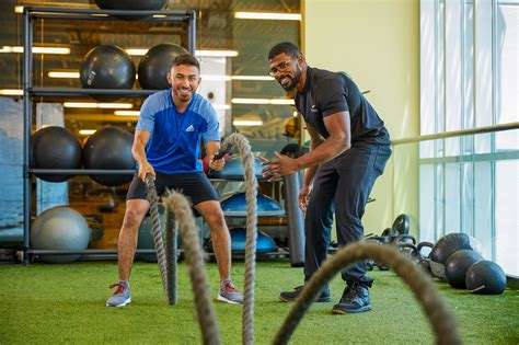 From Novice to Pro: Trainers Tailored to Different Levels of Fitness