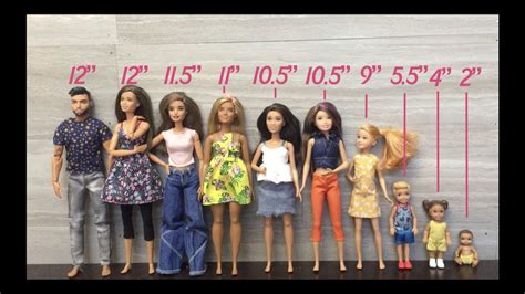 From Petite to Tall: Donna Doll's Height Revealed