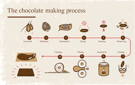 From Seed to Slab: The Journey of Chocolate Making