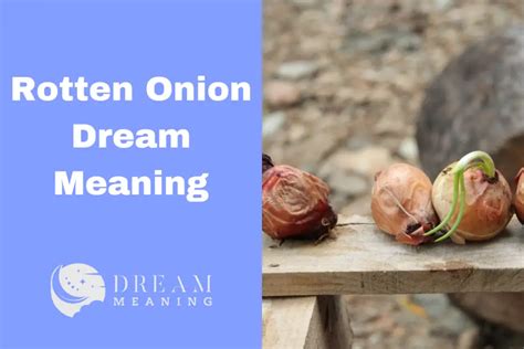 From Tearful Tales to Deeper Implications: Exploring the Mysteries of Onion Dreams