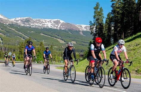 From Thrill Seekers to Pros: Diverse Categories of High-Speed Cycling Enthusiasts