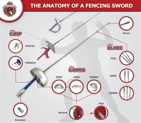 From Traditional to Technological: Exploring Modern Fencing Sword Materials