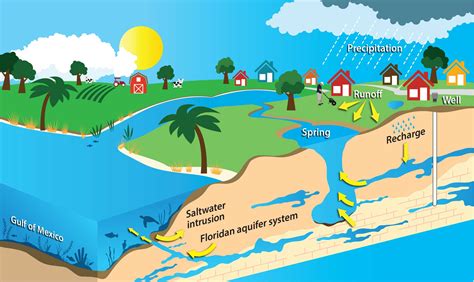 From Underground Springs to Ocean Storms: The Varying Forms of Water