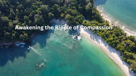 Fueling the Body, Nurturing the Soul: The Ripple Effect of Compassion