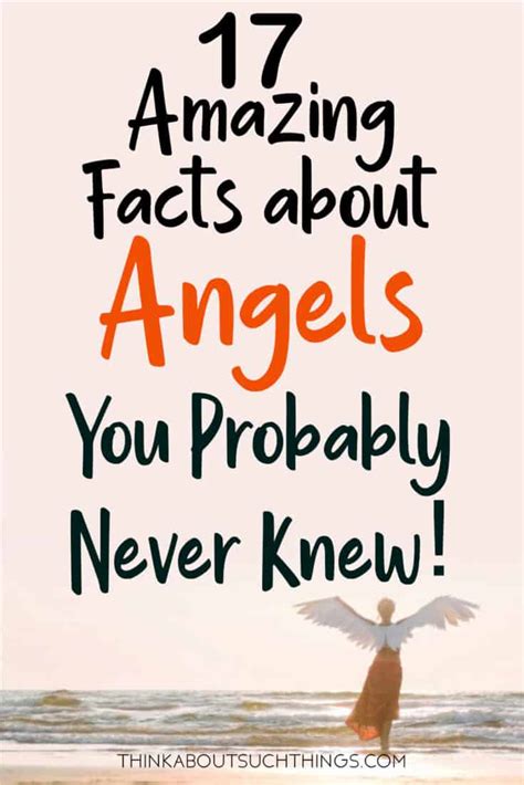 Fun Facts About Angel Crisa