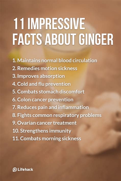 Fun Facts About Ginger Girlie