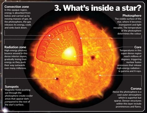 Fun Facts about the Enigmatic Star