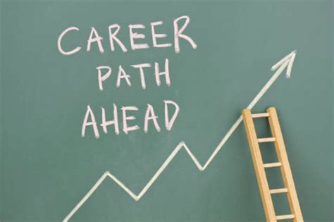 Future Plans and Career Prospects