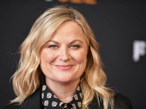 Future Plans and Projects of Amy Poehler